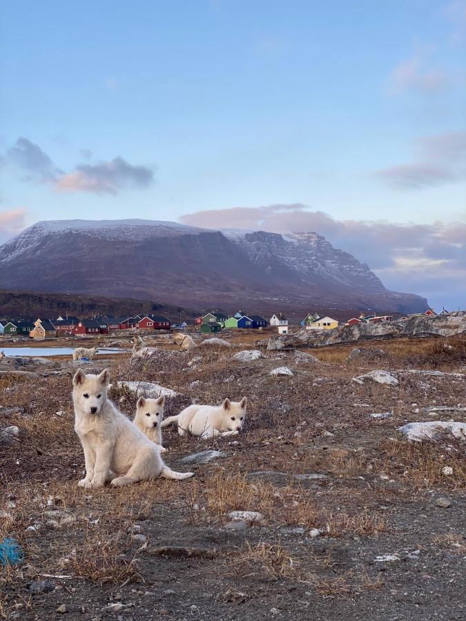 Hotel Disko Island Qeqertarsuaq Zewnętrze zdjęcie